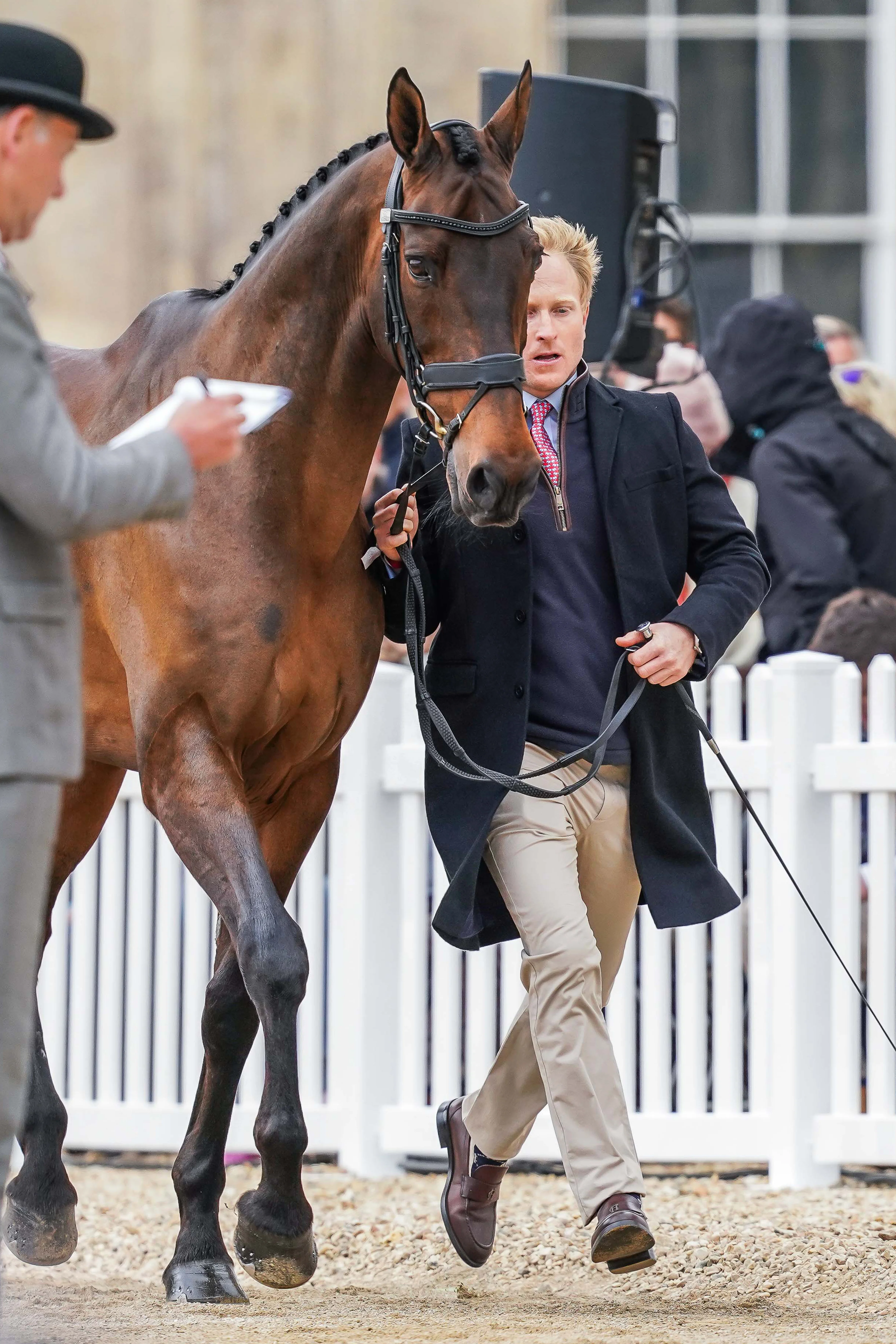 Aaron Millar's Badminton Trot Up 2 Soft Navy Look