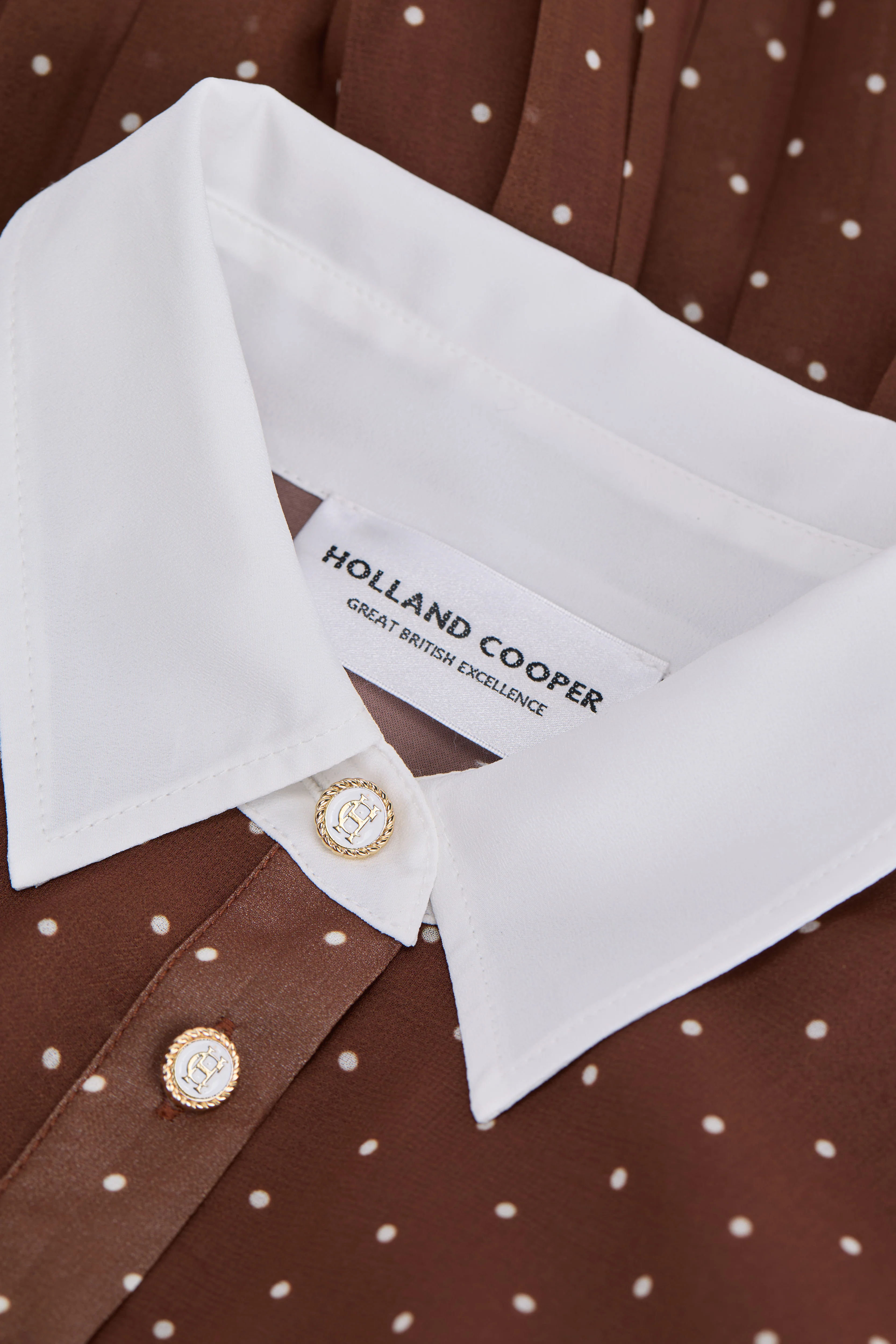 Annabel Pleated Maxi Dress (Chestnut Polka Dot) - Image 10