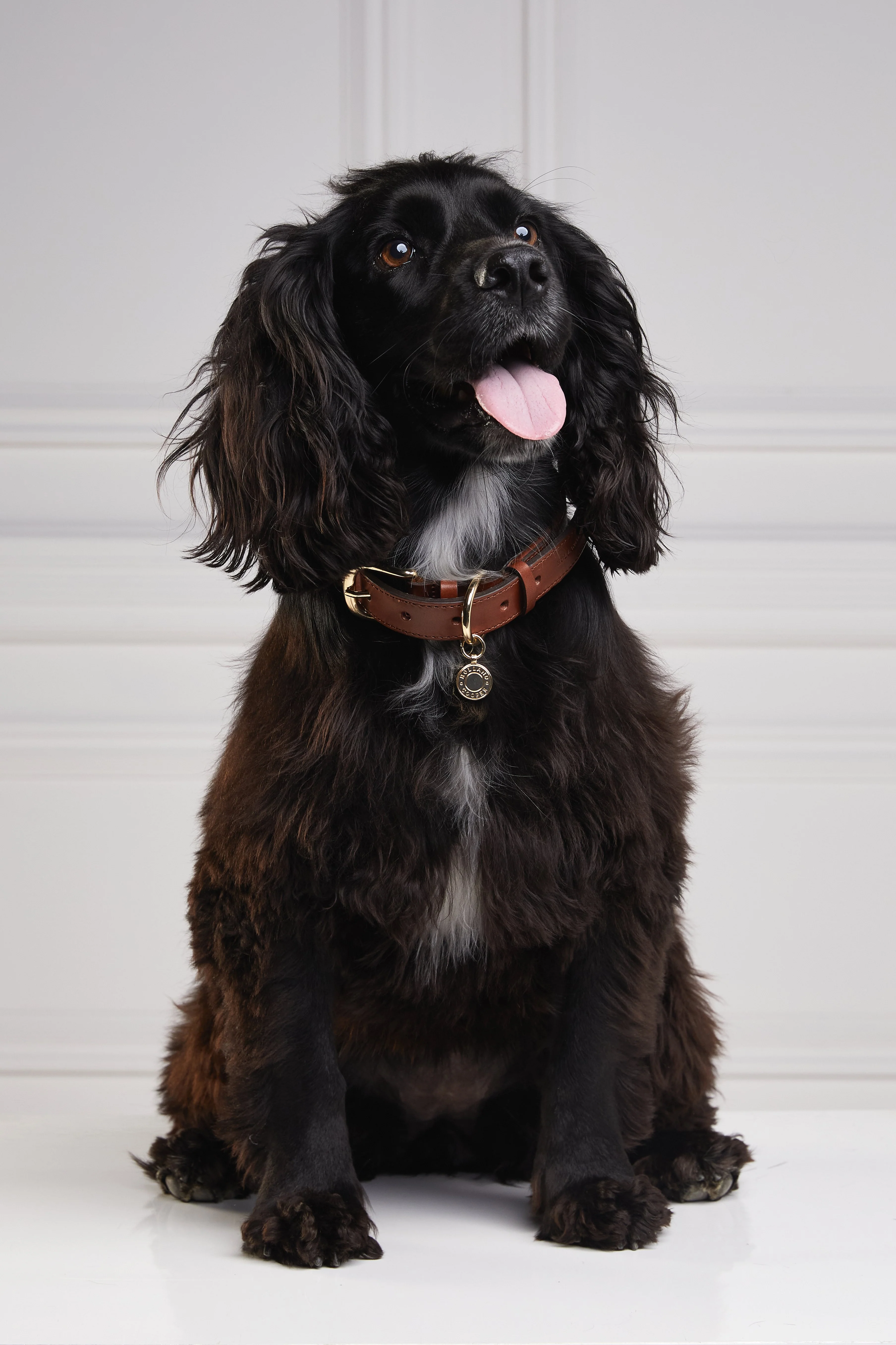 HC Classic Dog Collar (Chestnut & Tweed) - Image 3