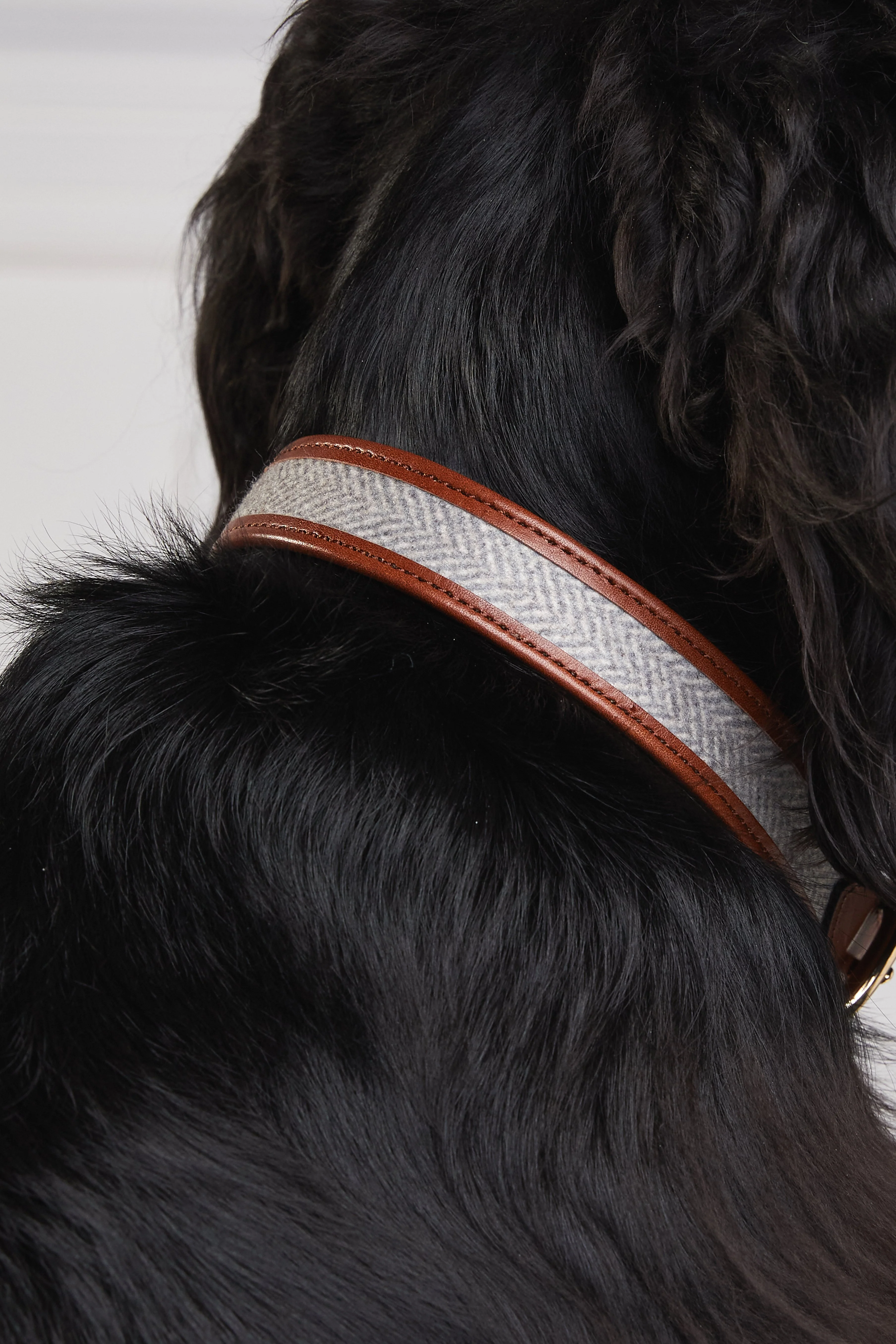 HC Classic Dog Collar (Chestnut & Tweed) - Image 4
