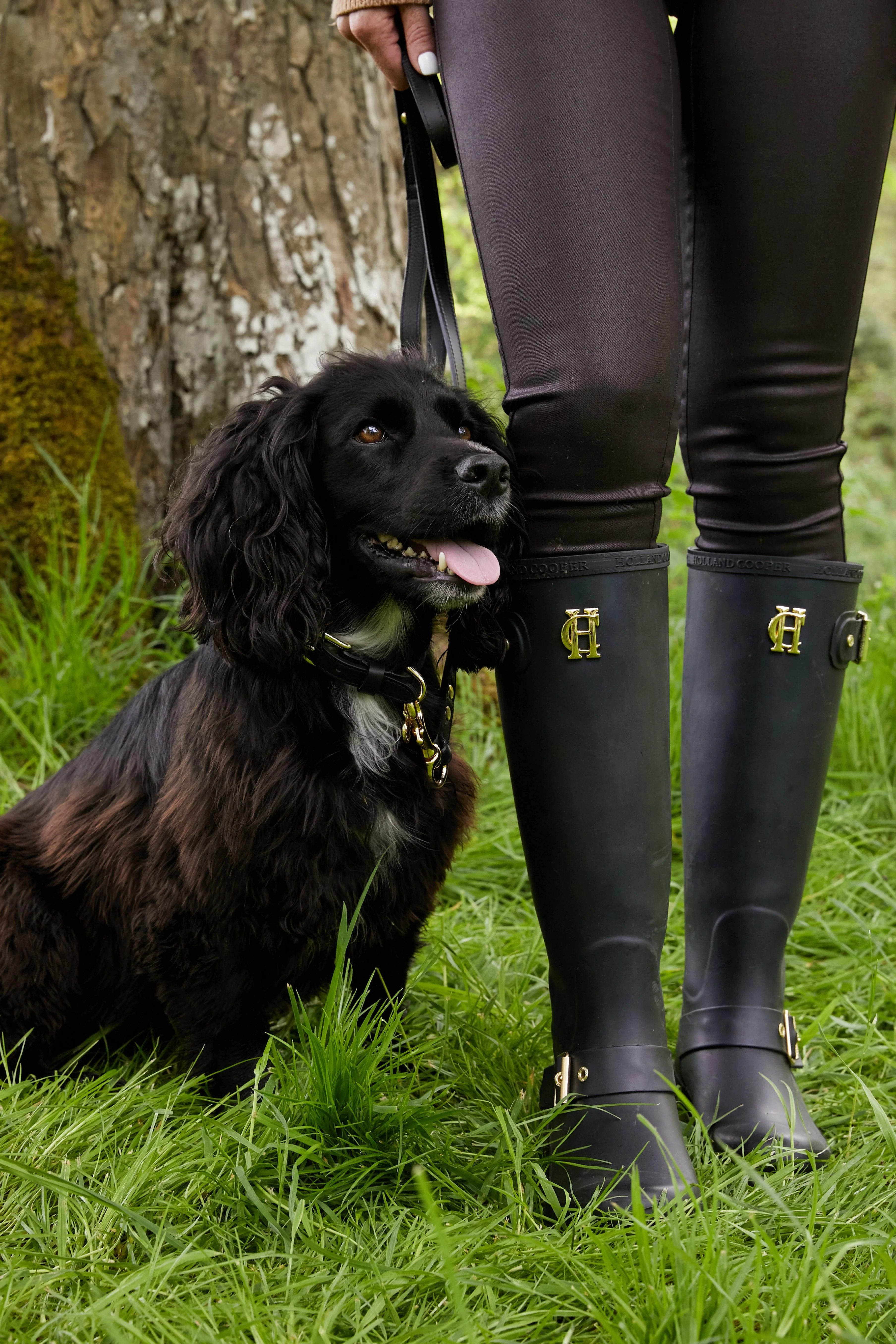 HC Slim Dog Lead (Black) - Image 5