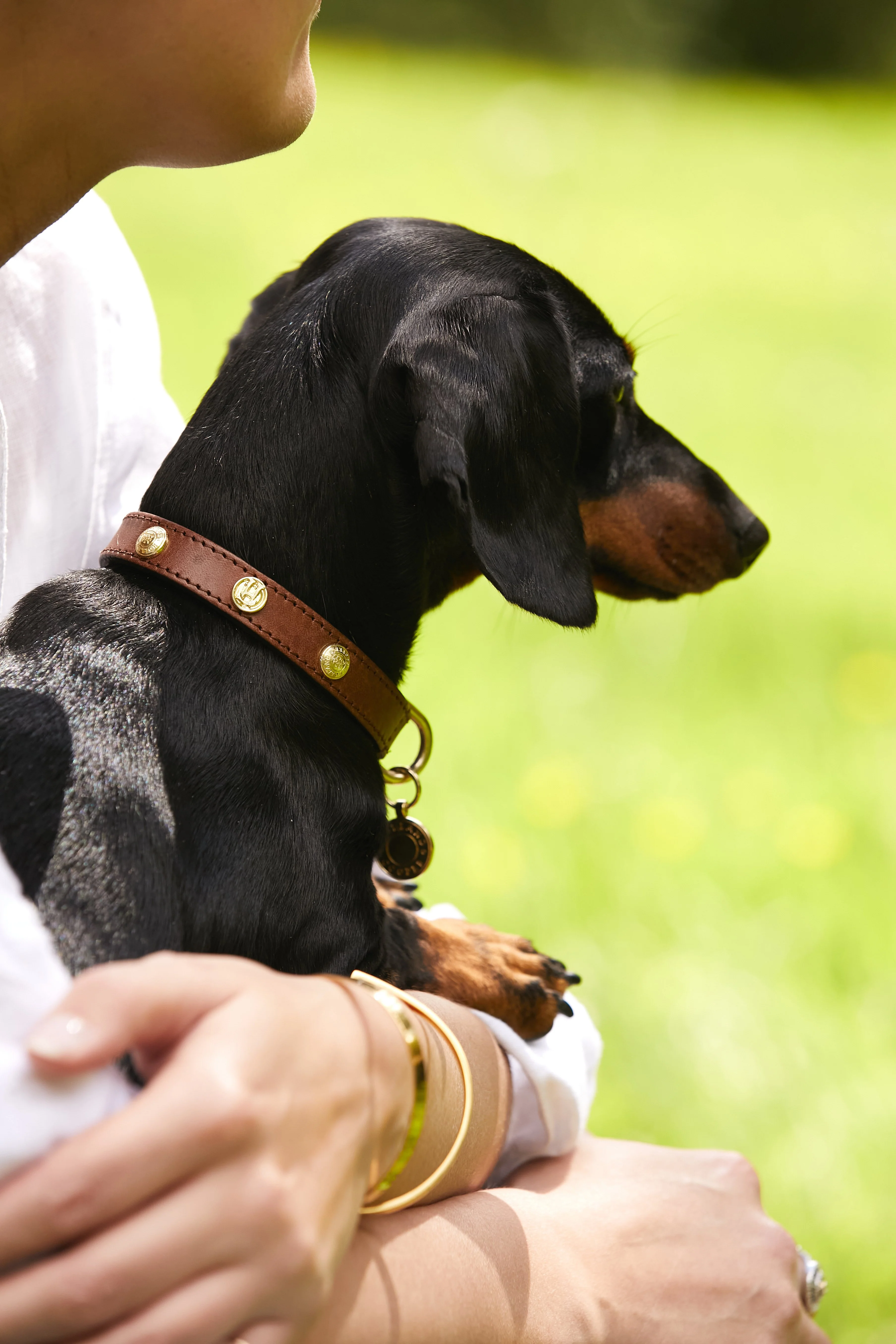 HC Studded Dog Collar (Chestnut) - Image 2