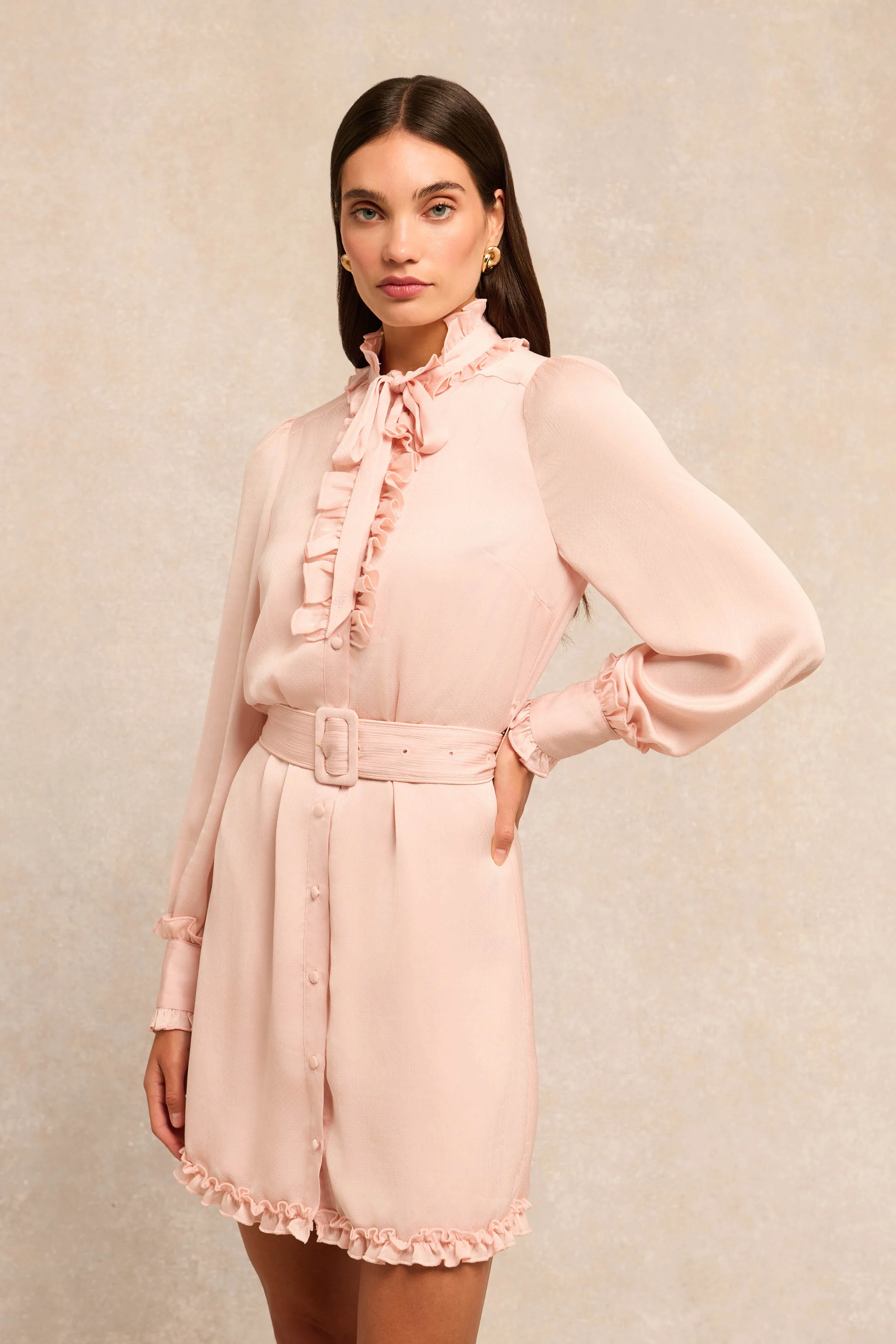 Rebecca Ruffle Dress (Blush) - Image 2